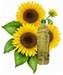 Sunfolwer oil, yellow corn, palm oil, cotton seed oil, soybeans oil