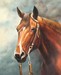 Animal oil painting --horse