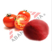 Spray Dried Tomato Powder (pure) 