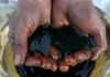 Crude Petrolium Oil ESPO