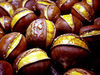 Organic peeled roasted chestnut