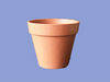 Biodegadable flower pot