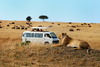 4 Days Kenya safari tour packages2014/15