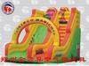 Slides-inflatable toy & model