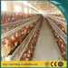 Guangzhou Factory small chicken cage/poultry layer chicken cage