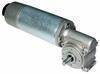 Worm geared dc motor