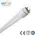 CCFL T8 Tube, energy saving fluorescent T8 tube