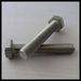 Stainless steel hex head bolt