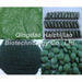 Spirulina powder/tablet/capsule