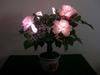 Luminous rose/peony trees