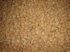 Textured Soy Protein