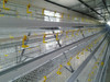 Animal Cage/Chicken Cage/Poultry Cages
