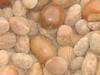 Shea Nut / Shea Nut Buttera