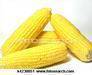 Firms corn