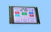 Customized FSC Color LCD Module