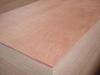 Commercial plywood