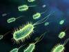 Probiotics-Lactobacillus Bifidobacterium