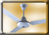 Ceiling fan