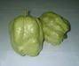 Guava Seedless