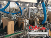 Wrap-Around Case Packer Machine for Packaging Pouches