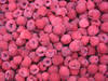 IQF raspberry whole