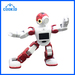 Smart Humanoid Robot