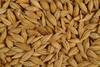 Milling wheat, barley, corn