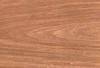 Oak veneer