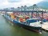 Freight Forwarder Service-International Logistics