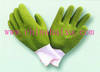 Latex glove