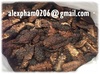 Dried Noni Fruit, Noni Powder_whatsapp 84399948793