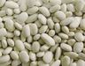 Egyptian white kidney beans