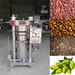 Hot sale 6YZ-230 seed oil extraction machine