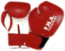 Professional Boxing gloves