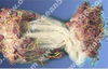 We are professional manufacturer of fishing nets & fishing tools.