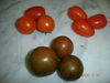 Cherry/Zebra Tomatoes