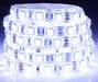 220v 3528 SMD flexible light strip with CE and RoHS Approval;
