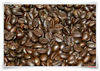 The Original And High Quality Luwak Coffee / Civet Coffee