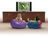 Whisper Ride Electric Flat Screen Television Lift