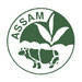 Assam CTC Tea