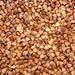 Roasted buckwheat kernels