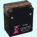 Motorcycle battery (YTX5-BS) 