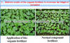 Bio organic fertilizer for high value crop, banana, tobacco, grape, co