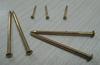 Steel nails, collated nail, painted nail, staple, loose nail