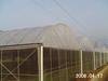 Anti Insect Netting