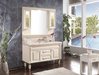 Bathroom vanities with bathroom mirror cabinet
