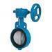 Stainless steel butterfly valve
