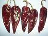 Chinese dried red chili supplier