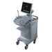 4D Color Doppler Ultrasonic Diagnostic System 3300