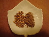 Bulgarian Coriander Whole Seed
